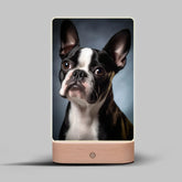 199 plemen psů Lampa LED